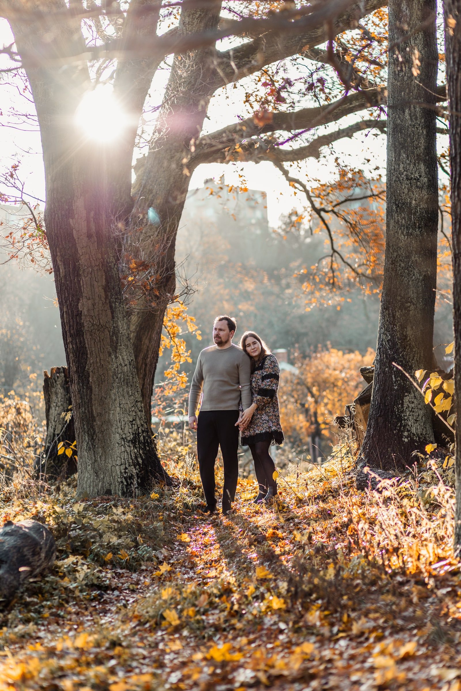 Wide portrait of a couple beneath trees with sunlight filtering through.